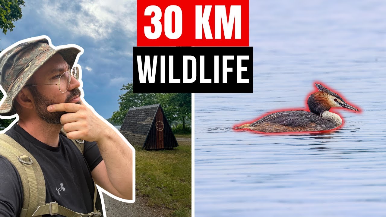 Wandern und Wildlife-Fotografie im Spreewald &ndash; 30 KM Tour