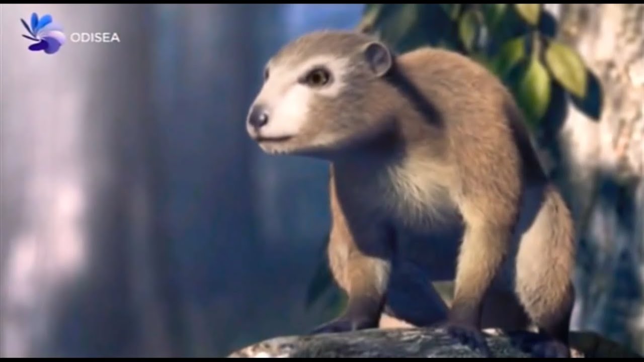 LA EVOLUCI&Oacute;N DE LOS MAM&Iacute;FEROS - Documental Odisea