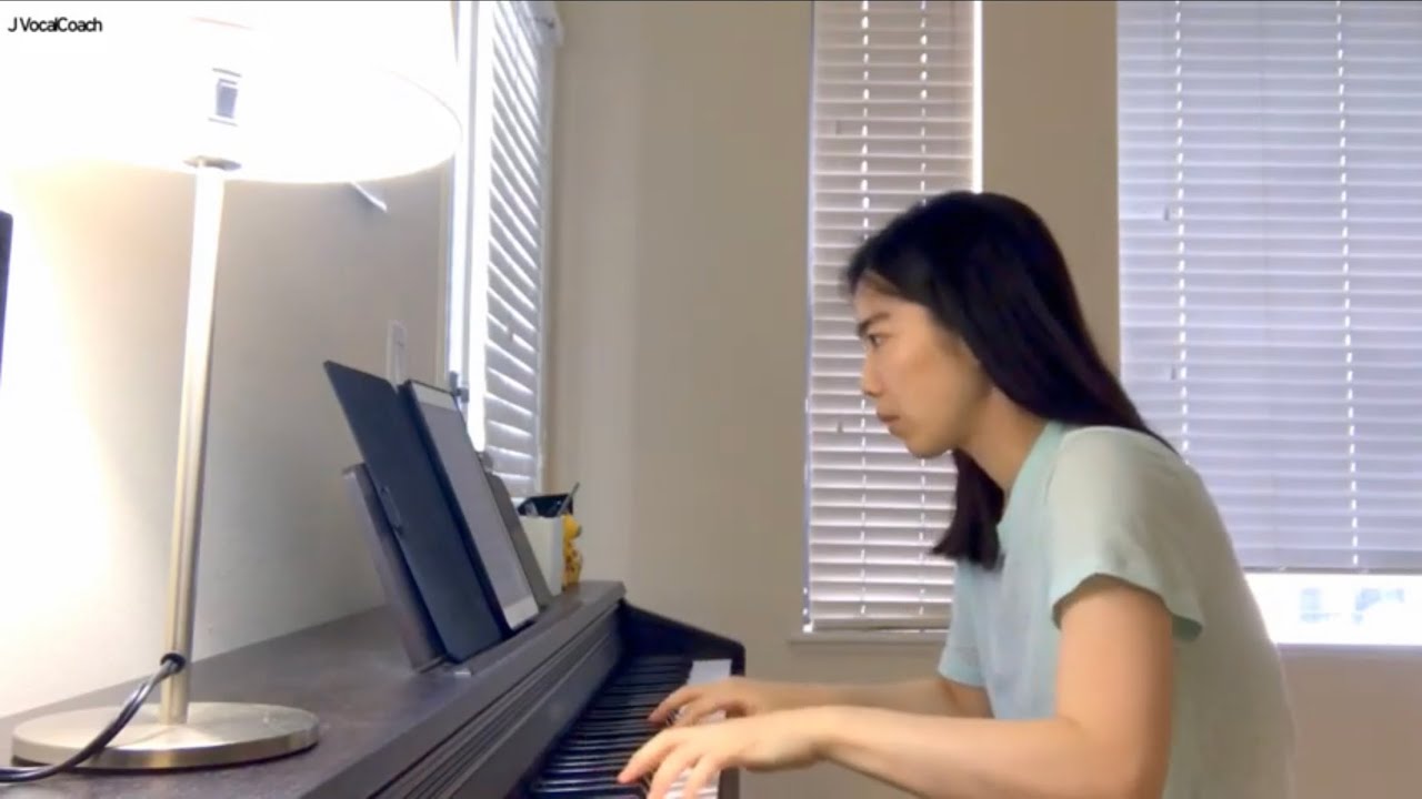 Medaglie incomparabili (Don Profondo, Rossini), KARAOKE, Accompaniment, Piano, 반주