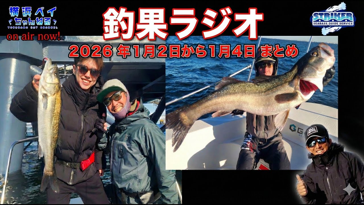 2026/1/2～1/4まとめ【釣果ラジオ】　#シーバス  #ビッグベイト #東京湾 #ボートシーバス
