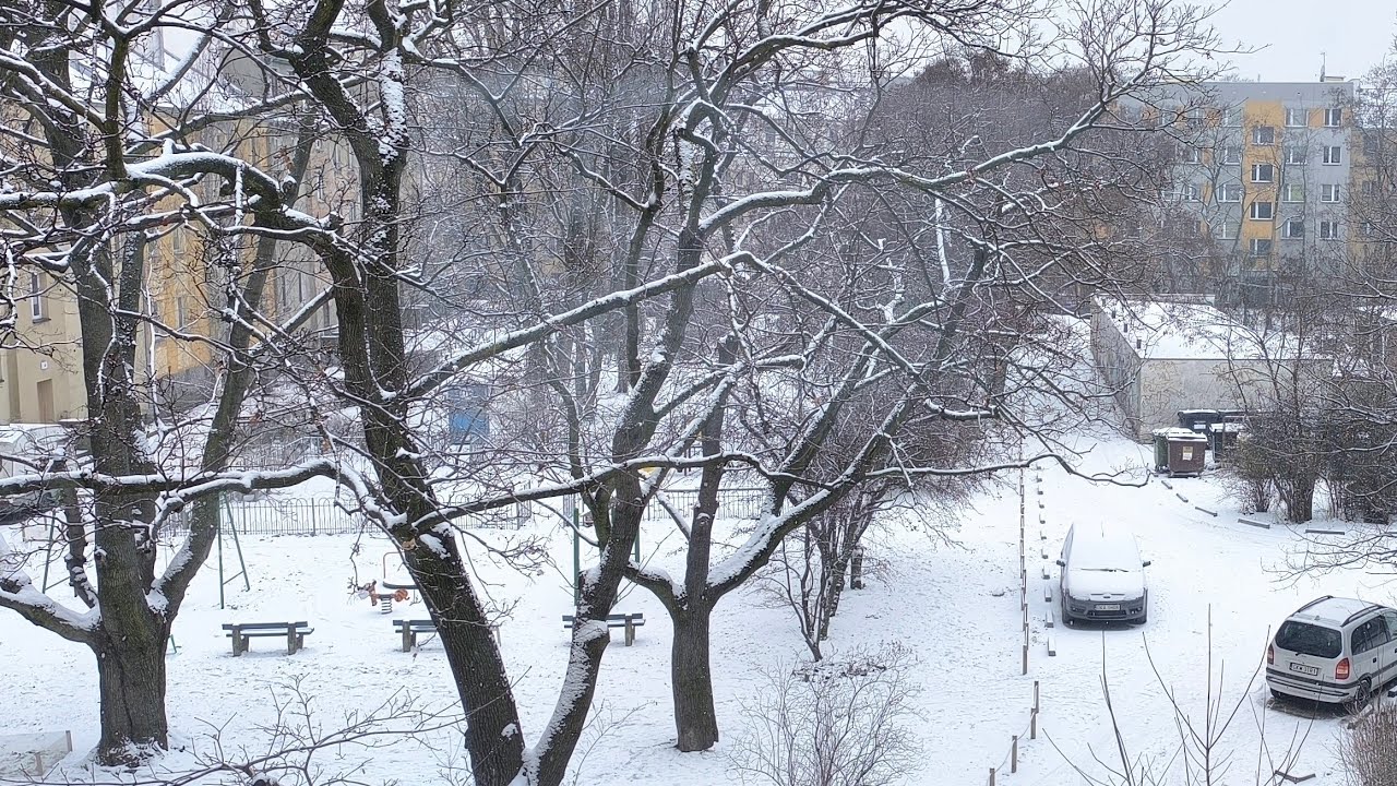 Winter Window Snowfall Ambience ❄️ –1°C / 30°F