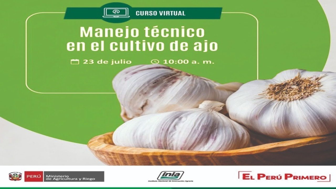 Curso Virtual: 