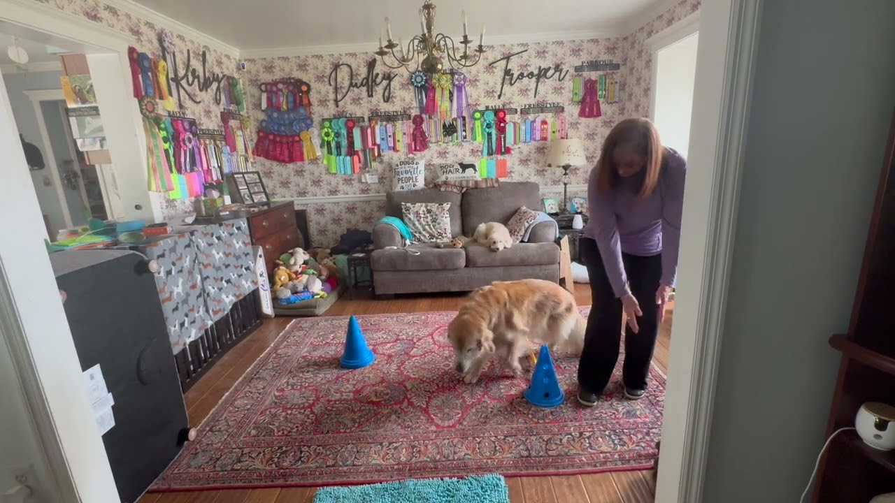 ADP Trooper - Sequence L3.4  Dog Room