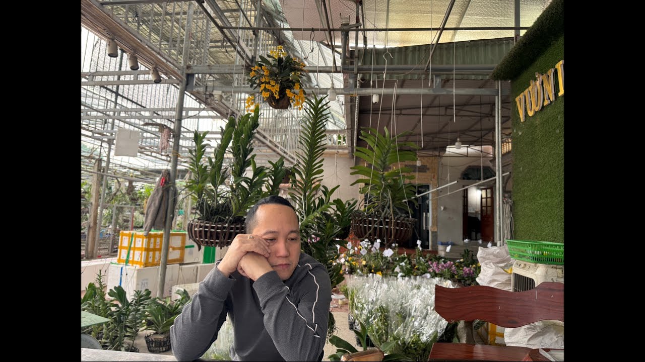 12/3 DENDRO XUÂN 0906110068