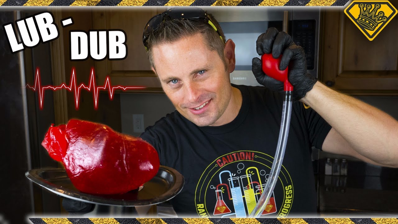 Realistic BEATING Gummy Heart for Halloween! TKOR Show How To Make A Heart From Gummy Candy!