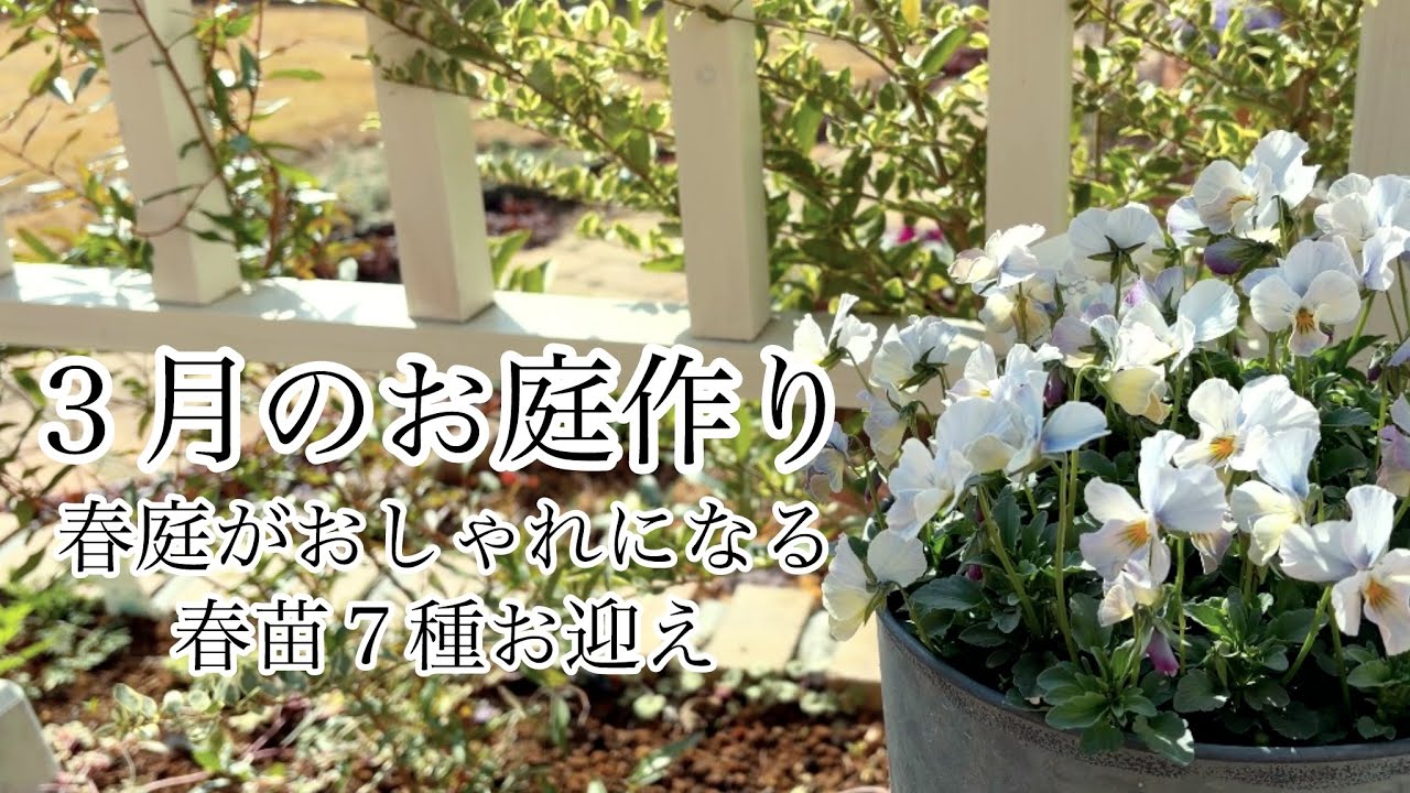 【ガーデニングVlog】３月のお庭作り／心を癒す香る春花／スイトピー他春苗７種お迎え／芽吹く春庭の様子