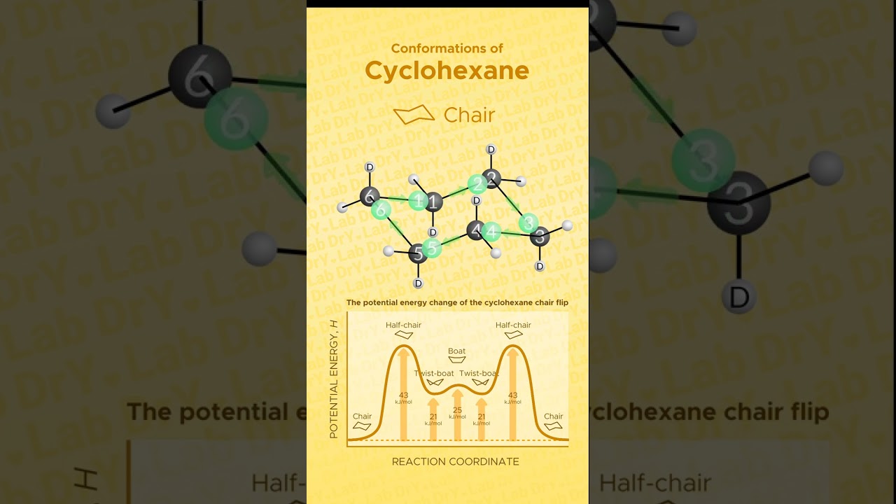 Cyclohexane chair flip: chair, half-chair, twist-boat, and boat conformations