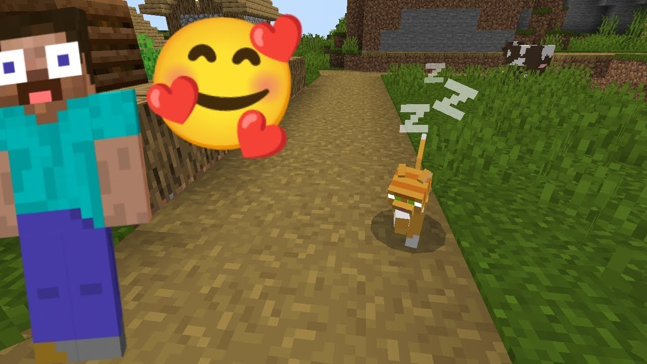 Lily #cat#gameplay#minecraft#games#gaming#.
