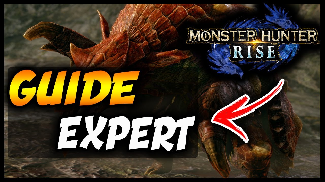 MONSTER HUNTER RISE : GUIDE EXPERT ET ASTUCES !