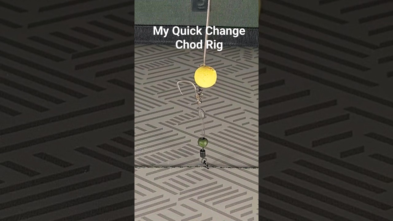 Here's my Quick Change #chodrig #choddy #popuprig #carp #carpfishing #carpangler #caperlan