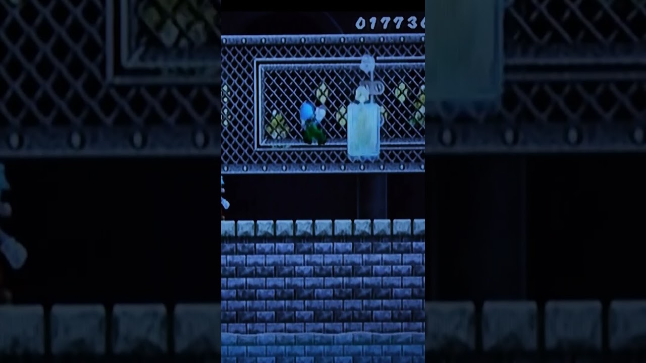 Secret Coin Glitch In New Super Mario Bros Wii #newsupermariobroswii #1up #coins
