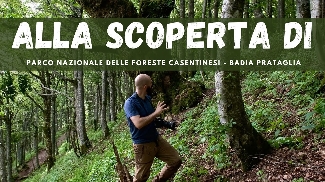 Alla scoperta di - fotografare nel Parco Nazionale delle Foreste Casentinesi
