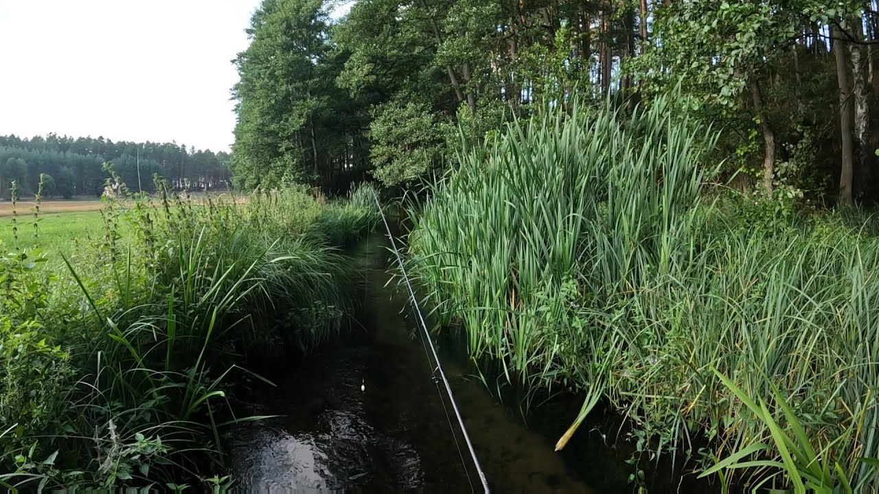 40 PSTRĄGÓW w KILKA GODZIN | ZAKOŃCZENIE SEZONU NA STRUMYKU