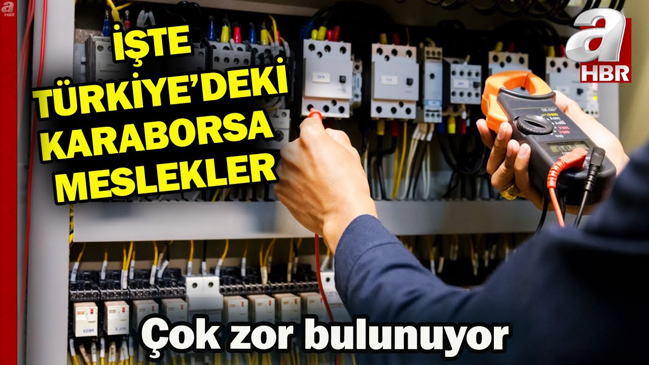 İşveren onlar için sıraya girdi! İşte Türkiye'de en çok aranan meslekler | A Haber