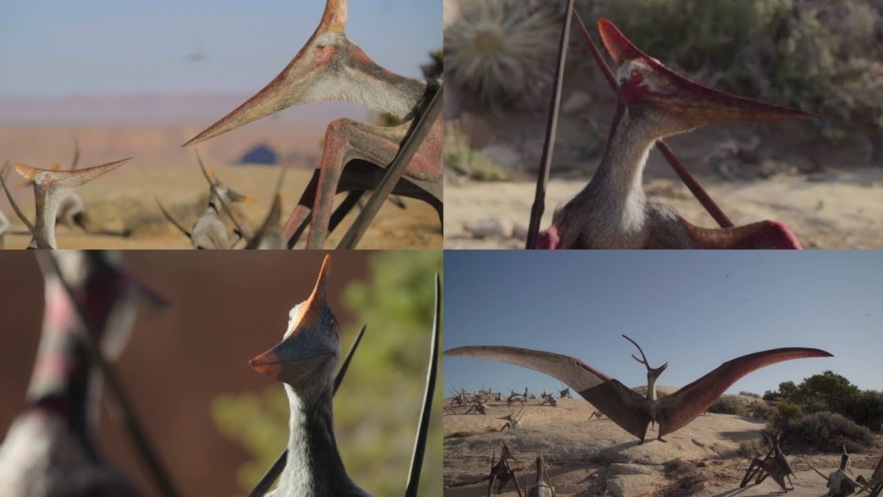 Prehistoric Planet [2022] - Barbaridactylus Screen Time