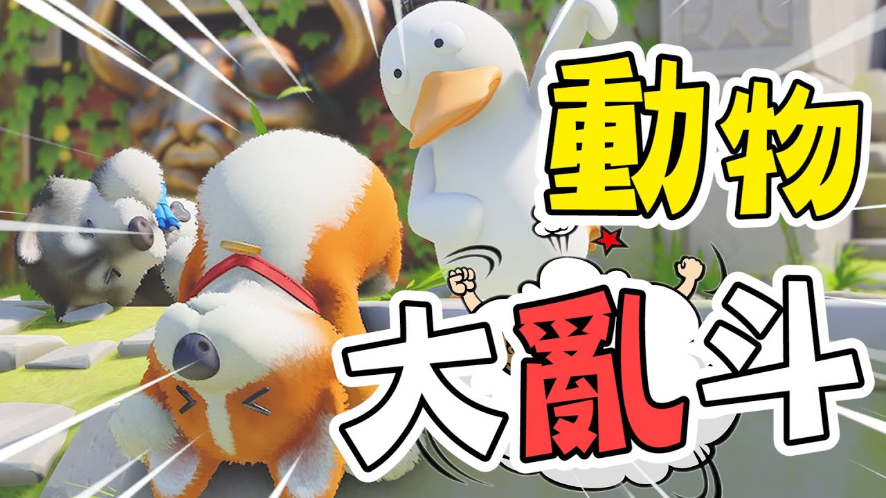 笑到缺氧的動物大亂鬥！Animals Party 搞笑精華