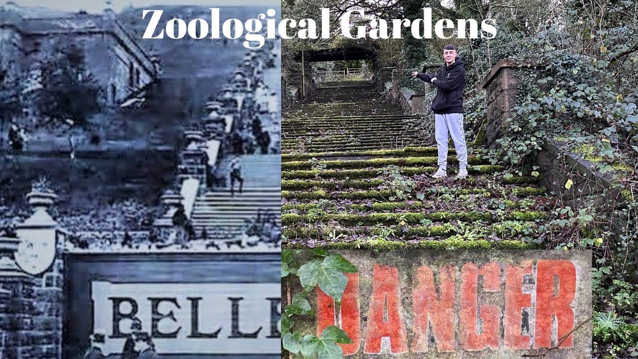 Exploring The Abandoned Belfast Zoo ( Bellevue Zoological Gardens)
