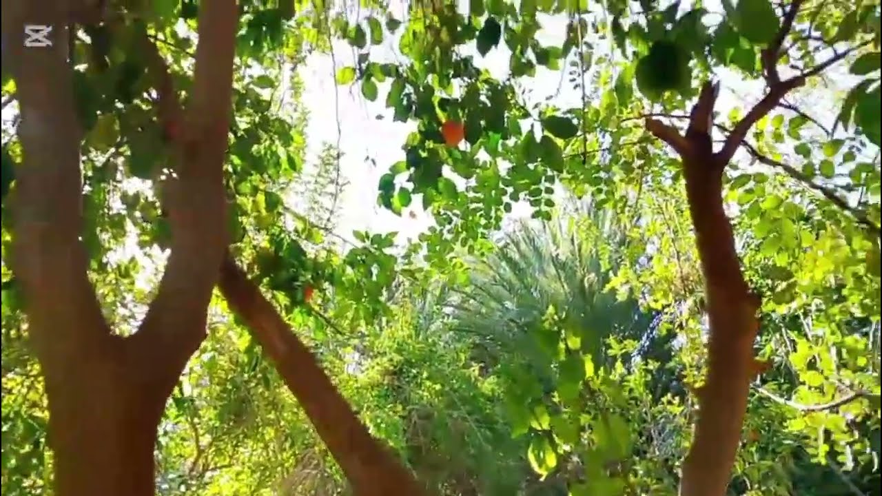 أجي تشوف احسن بلاصة فين تقدر ترتاح نتا والاسرة ديالك كون متأكد 100٪ غادي تحمقك براحتها والجو زوين