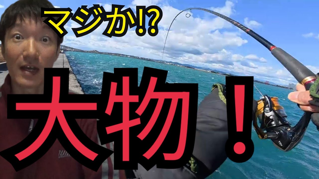 誰もいない真冬の爆風激寒浜名湖の堤防でポツンと一人釣りしたら⋯