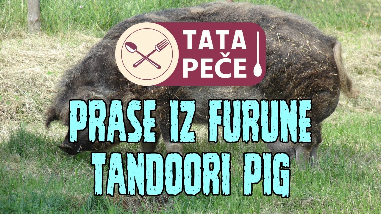 Tata peče Mangulicu u krušnoj peći | Tandoori roasted pig