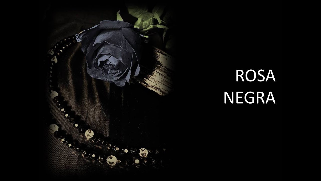 A História de Rosa Negra