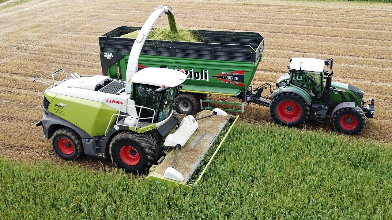 Claas Jaguar 980 | 4x Fendt & Grazioli | Trinciatura 2024