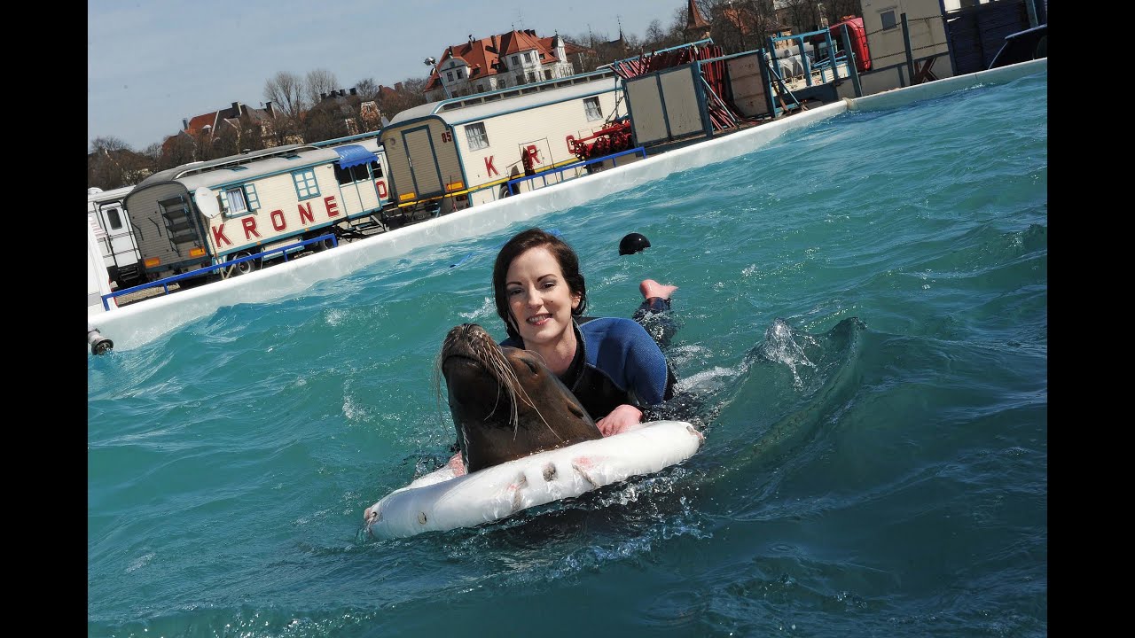 Actress Isabella Jantz is swimming with the sea lions Chico, Tino & Joe @ Circus Krone
