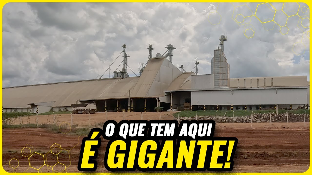 CONHEÇA a REGIÃO que ESTÁ MUDANDO o AGRO no Brasil  [2/5]