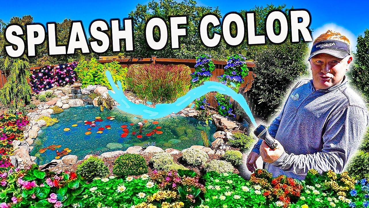 Landscaping Ideas for Your BACKYARD POND