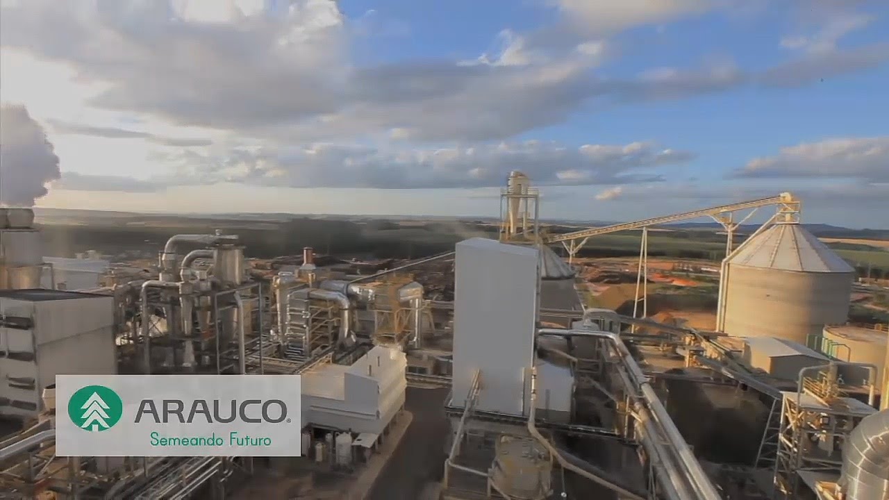 ARAUCO Fabricação MDF