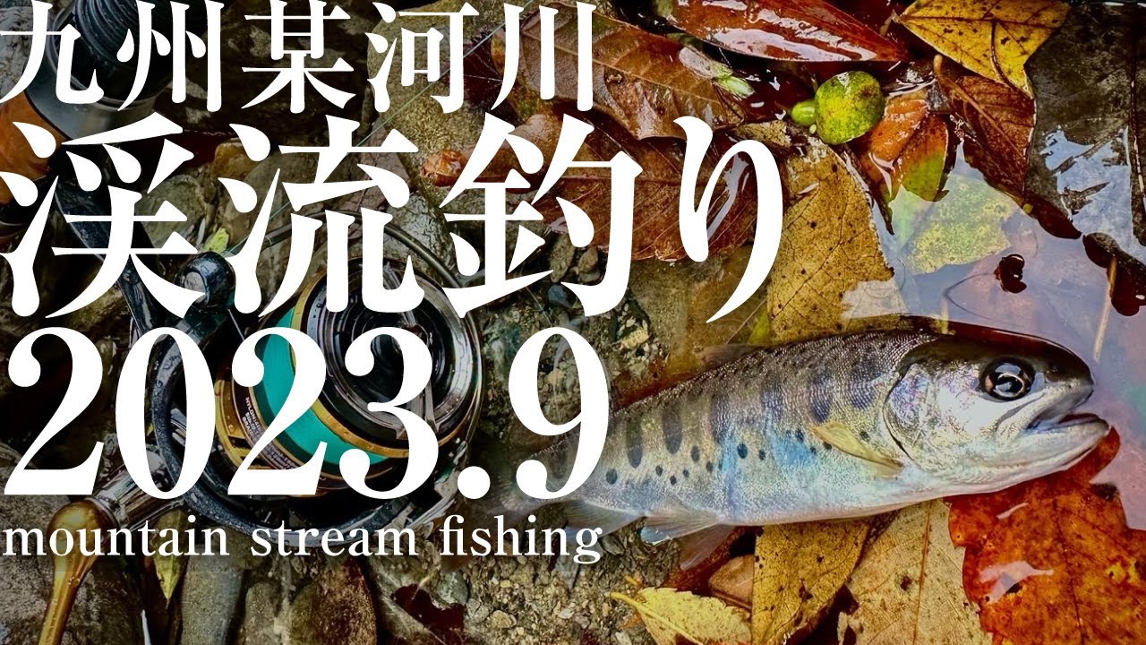 2023年 九州の某河川でヤマメ釣り