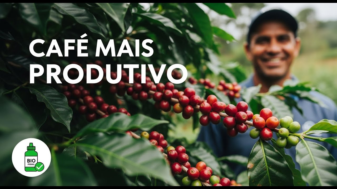 O FIM DO FÓSFORO PRESO NO SOLO (use isso no seu café)
