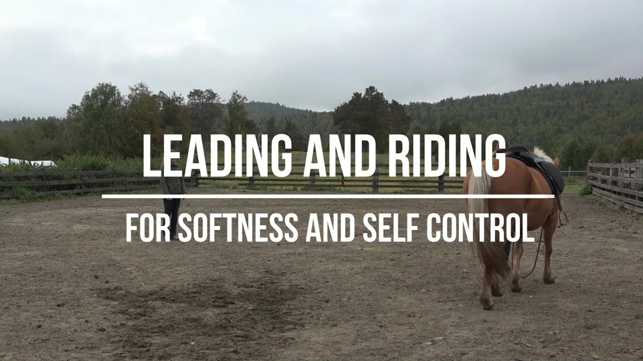 Leading and riding for softness and connection