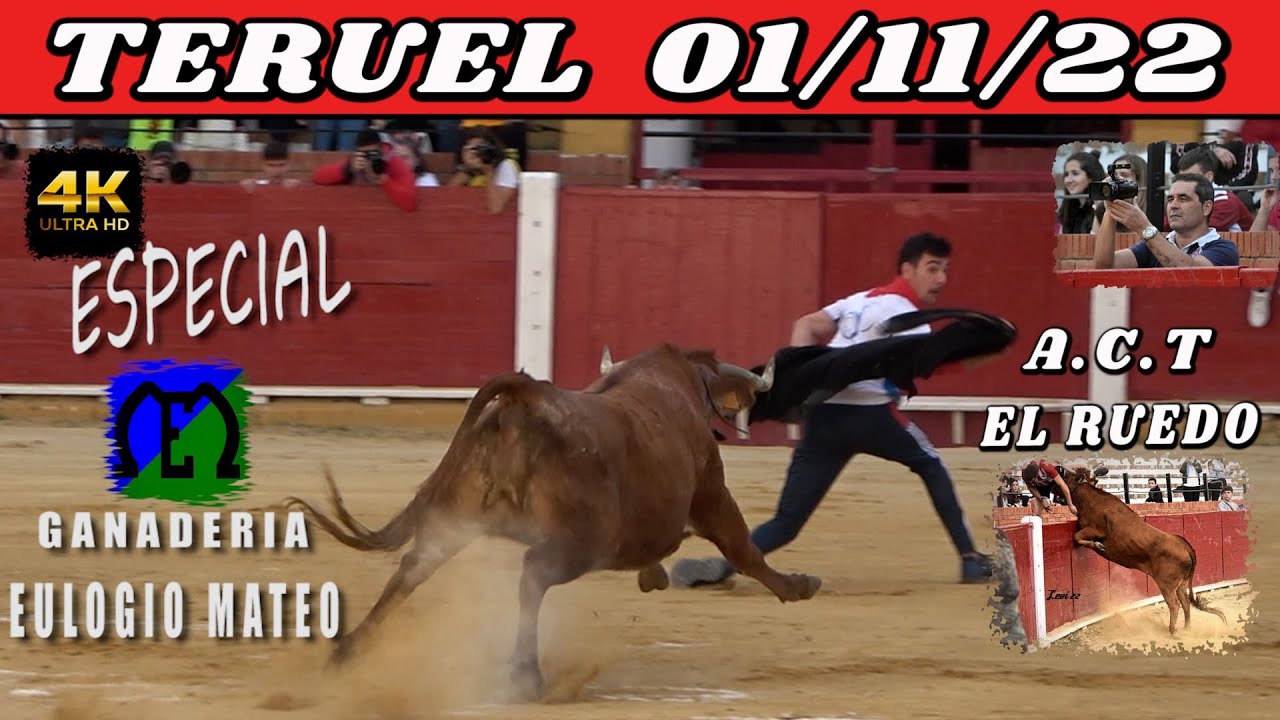 👍TERUEL 1-11-2022 EULOGIO MATEO
