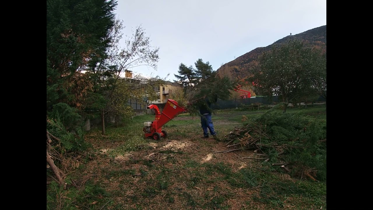 Broyeur DelMorino Scutum SCGX 390 : broyage de branches de cyprès