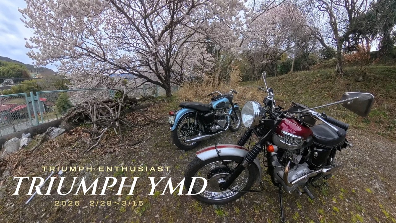 TRIUMPH YMD 2/28~3/15