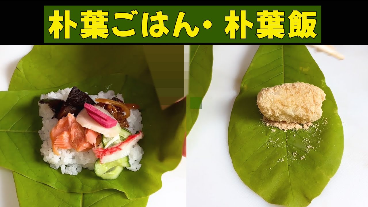 朴葉ごはんと朴葉飯を作りました