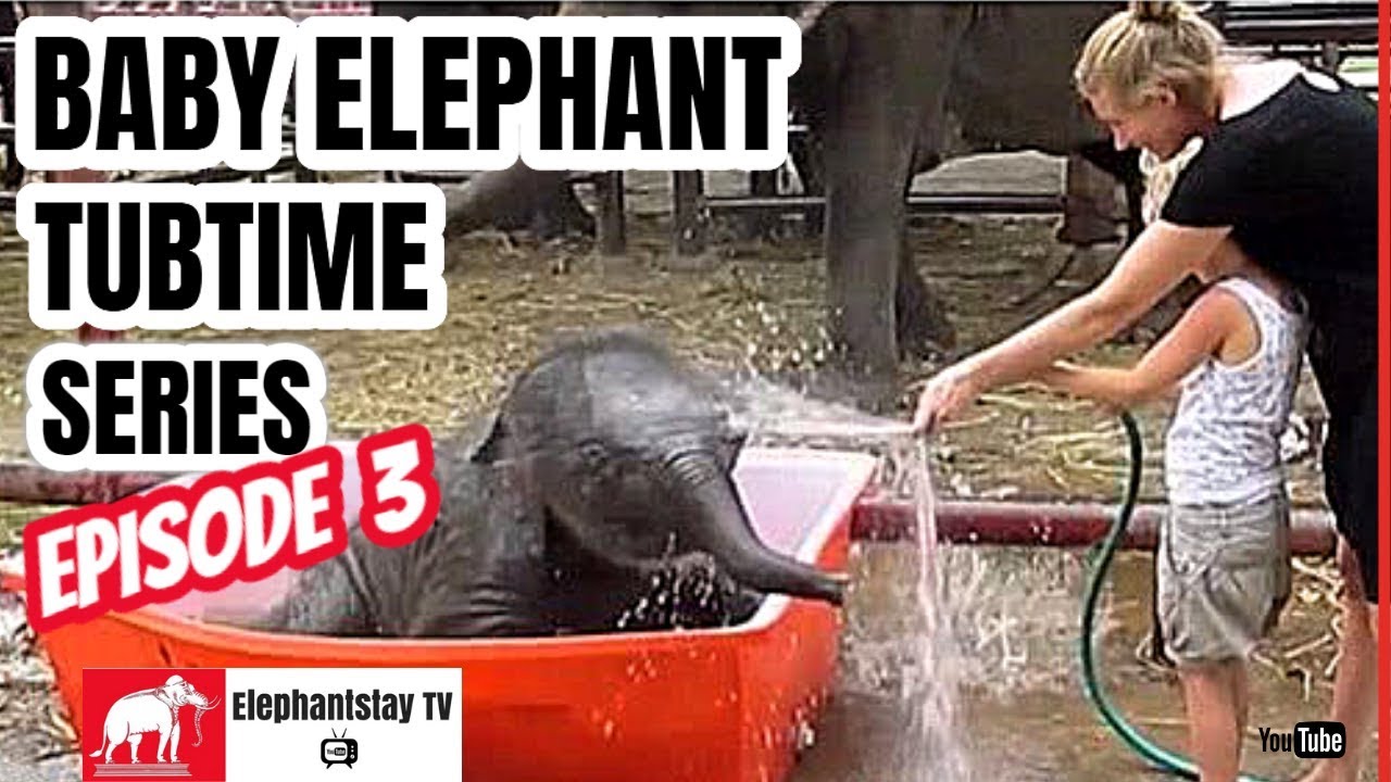 Baby Elephant Tubtime Series | S1 Ep 3 | Double Trouble by C Jorgensen | Elephantstay