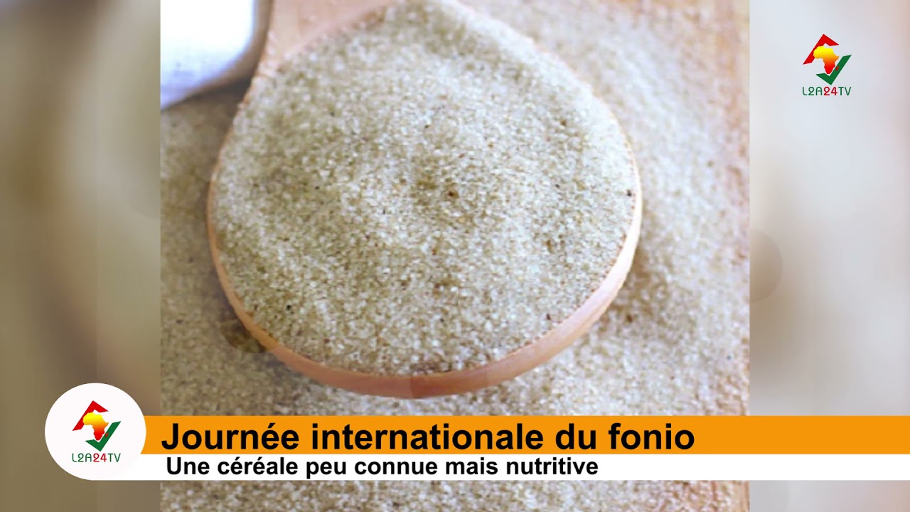 Le Fonio : Le céréale au multiples vertus