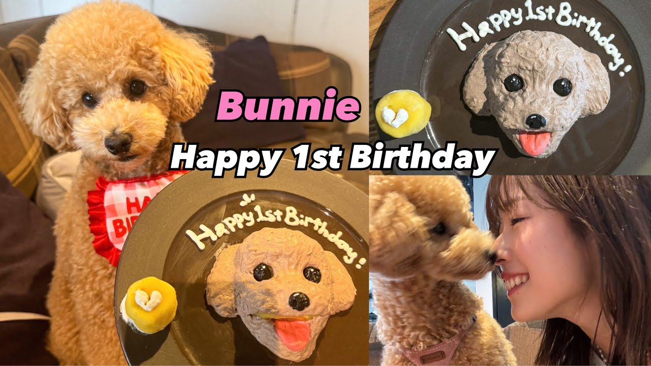 【祝1歳‼️】【愛犬家必見】3D似顔絵ケーキでお祝いしてきた🍰