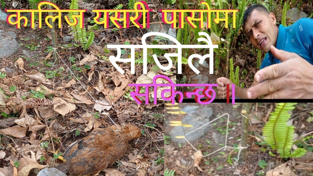 kalija yasari pasoma sajilai parna sakinchha