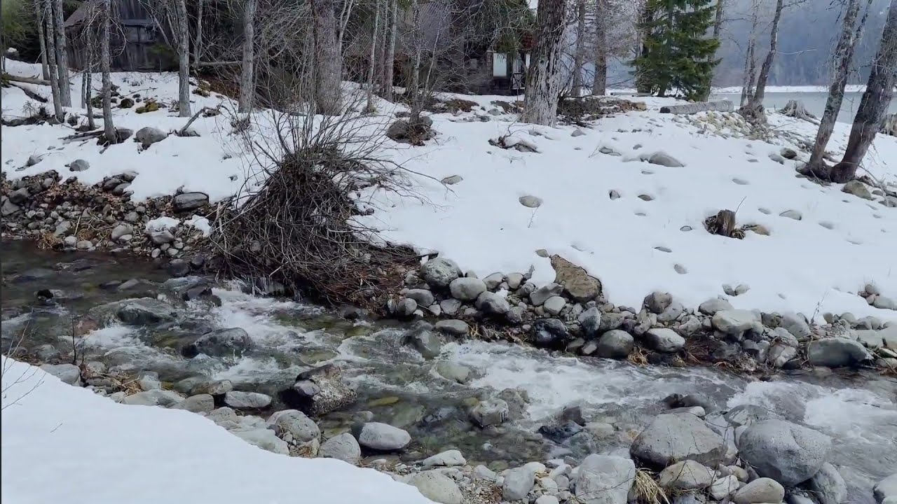 Kachess Lake Washington | Snowy Trail & Peaceful Stream Sounds (1 Hour from Seattle)