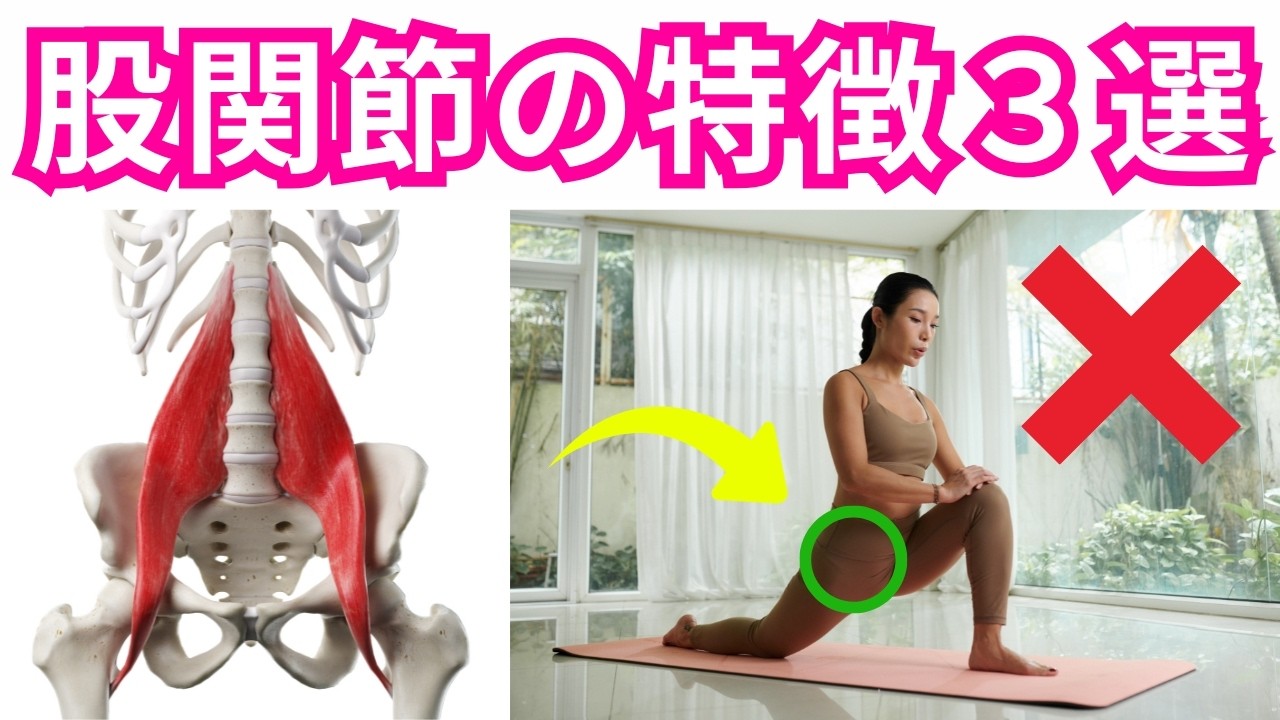 【股関節の前側が固まる原因】「腸腰筋・大腿筋膜張筋・大腿直筋」が緊張する人に共通する身体的特徴３選！【運動療法・ピラティス】