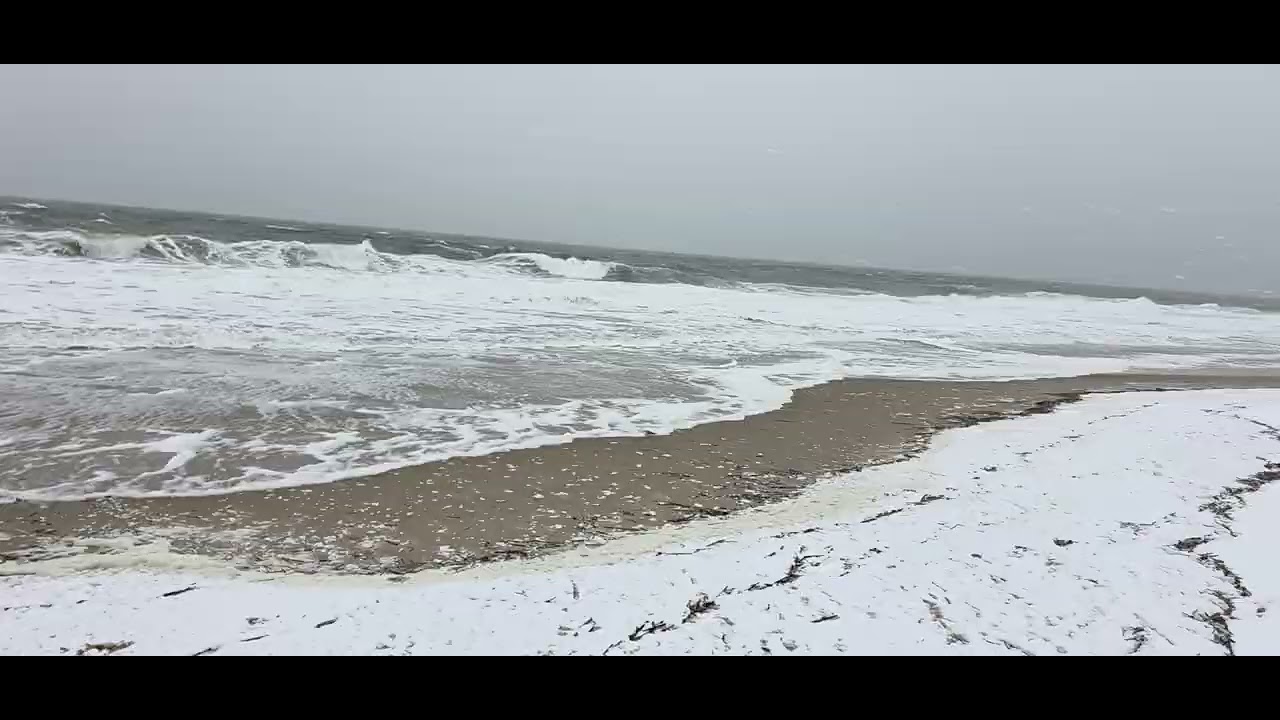 Beach Day Blizzard Edition 🥶❄️