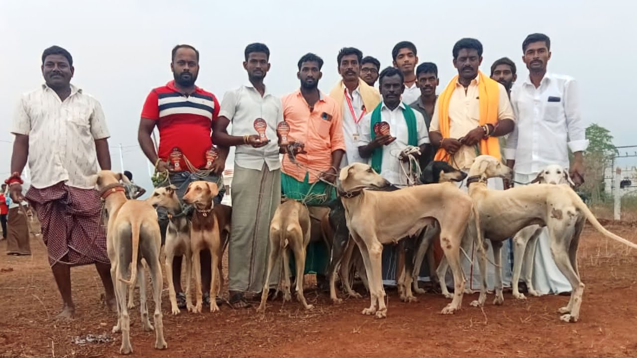 நாட்டு இன நாய்கள் உரிமை மீட்பு மாநாடும் கண்காட்சி