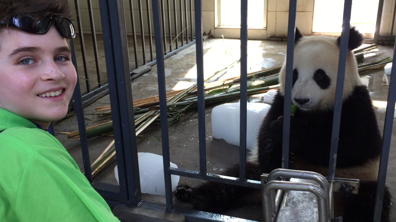 PANDA CLAWS BOYS HAND!!!!!!!!!!!!!!!!