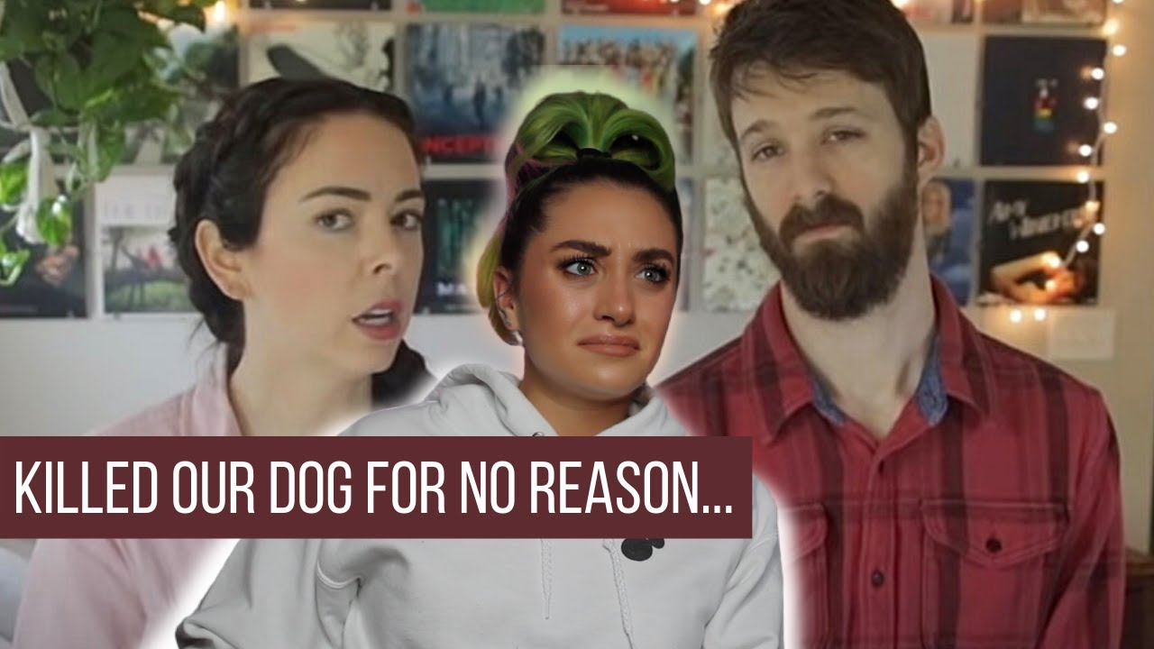 Animal Activist Responds To The Worst Dog Owners Ever | Nikki Phillippi