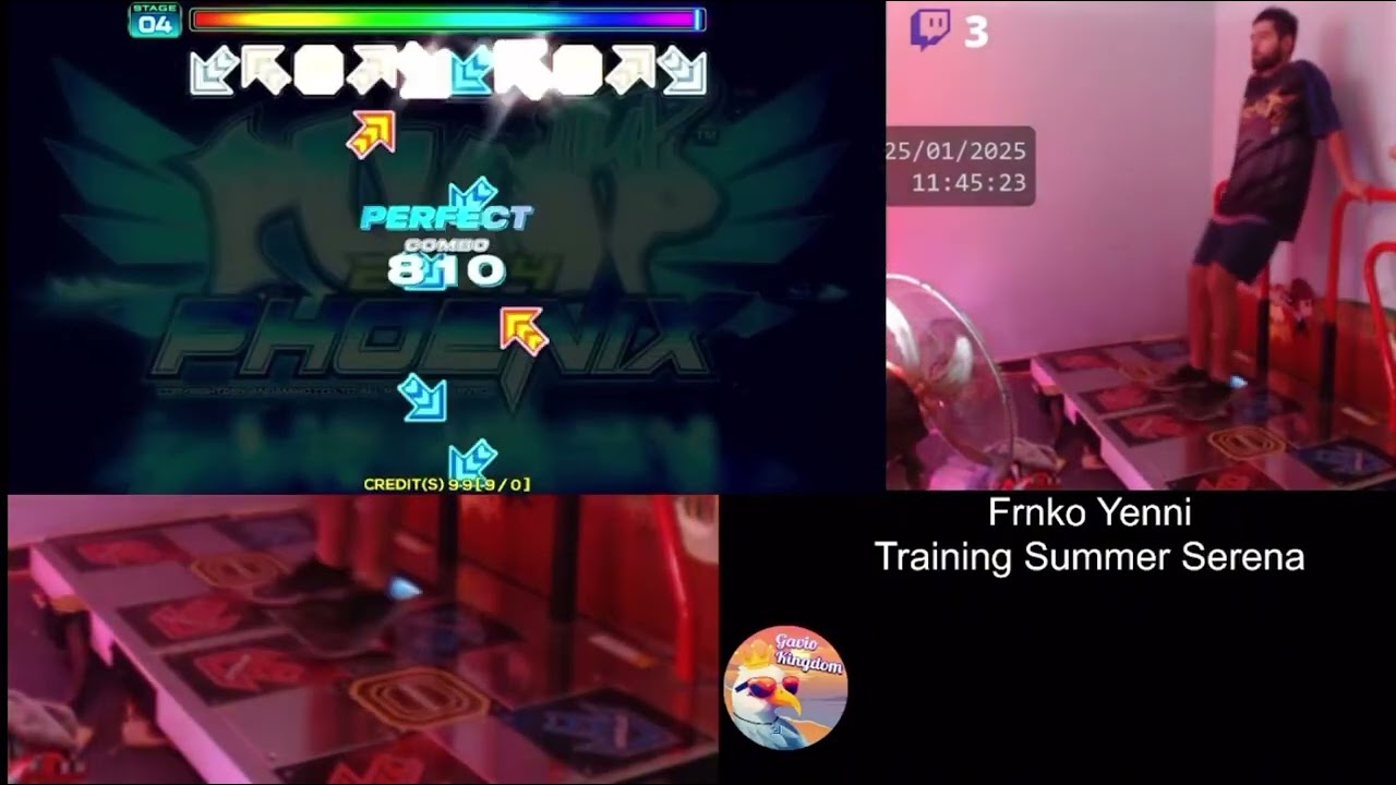 Conflict D25 1Great 99.9 SSS+ Full Combo Play! (World Record)