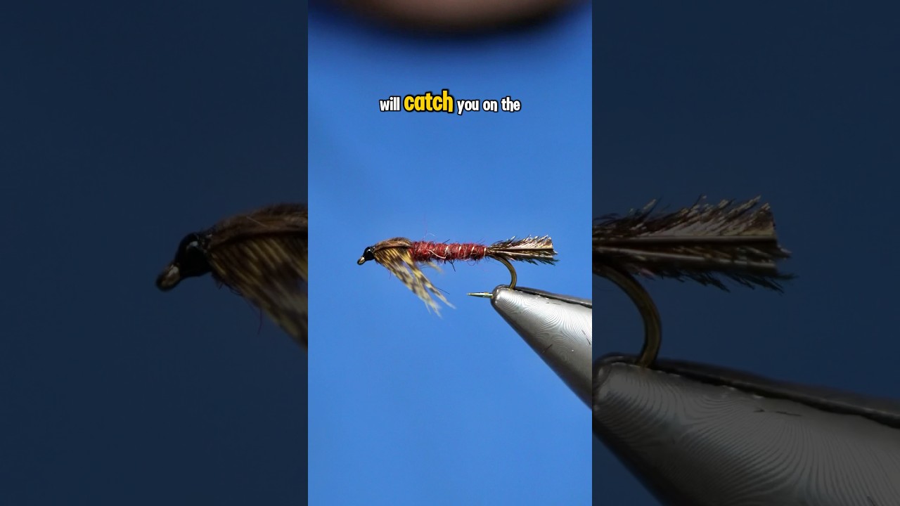 Vinnys Isonychia Nymph!!