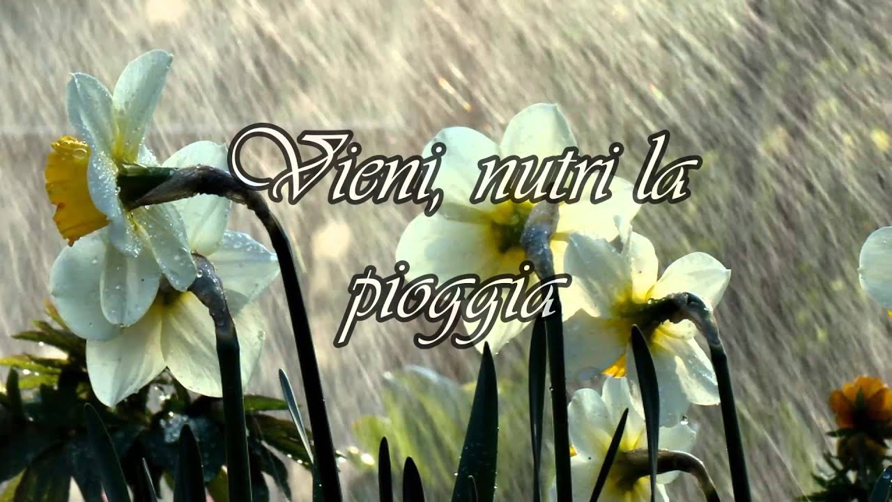 Poets of the Fall - Carnival of Rust [Traduzione]